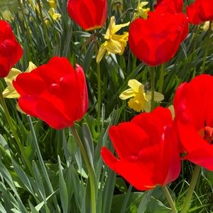 Meet your Posher, Ali